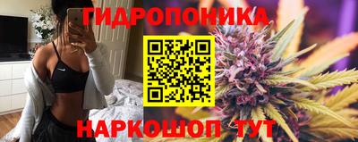 spice Будённовск